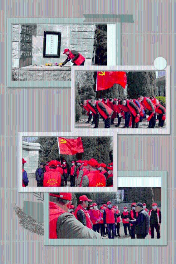 解救金刚鹦鹉