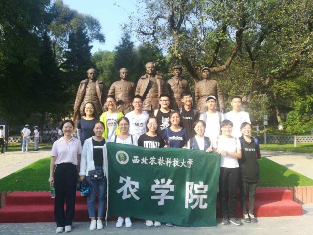 港股药明康德一度跌超30%，发生了什么？